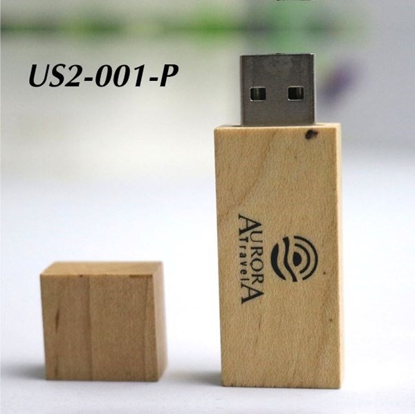  USB Gỗ US2-001-P 