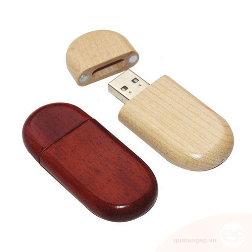 USB gỗ 016